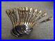 12_Royal_Albert_Old_Country_Roses_Gold_Accent_Stainless_Soup_Spoons_01_fc