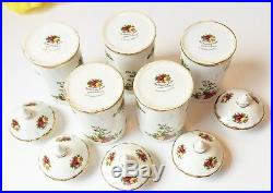 5pcs Royal Albert Old Country Roses Spice Jars Kitchen Decor Gifts for Her