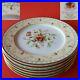 6_Royal_Albert_Old_Country_Roses_Seasons_of_Colour_Spring_Accents_Salad_Plates_01_jgue