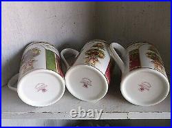6 Royal Albert SEASONS OF COLOR Old County Roses Mugs Cups 12 oz 2006