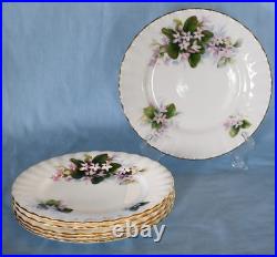 Beautiful, Elegant Royal Albert Mayflower Tea Set Collection. Made In England