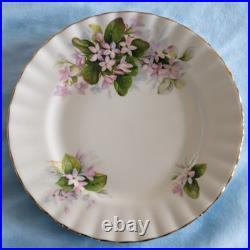 Beautiful, Elegant Royal Albert Mayflower Tea Set Collection. Made In England