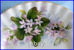 Beautiful, Elegant Royal Albert Mayflower Tea Set Collection. Made In England
