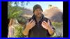 Climbing_Roses_Some_General_Hits_And_Tips_To_Help_You_Chose_Plant_And_Maintain_Climbing_Roses_01_cdsu