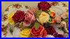 Most_Of_My_Collection_Of_Old_Country_Roses_As_Yet_01_njg