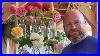 My_All_New_Best_For_Fragrance_David_Austin_Roses_Collection_All_8_S_And_Above_Gardenerben_01_qtc