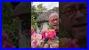 Personal_Growing_Review_Of_Rose_Candy_Land_Wekrosopela_Introduced_In_2008_Gardenerben_01_glma