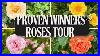 Proven_Winners_Colorchoice_Roses_Comparison_Tour_2025_01_wqh