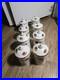 ROYAL_ALBERT_OLD_COUNTRY_ROSES_SPICE_JARS_Set_Of_8_BONE_CHINA_Rare_no_rack_01_obmh