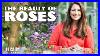 Rachel_S_Love_Of_Roses_Monty_Don_S_Great_British_Garden_Revival_Luxury_Living_01_fueb