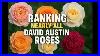 Ranking_Nearly_Every_David_Austin_Rose_The_Ultimate_Austin_Rose_Guide_01_oao