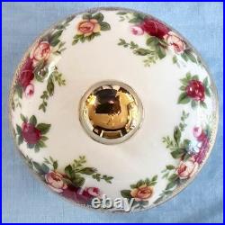 Rare Royal Albert Old Country Roses Teapot (Classic III) WithFree Porcelain Spoon