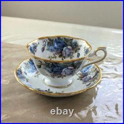 Royal Albert Cup & Saucer Set of 2 Moonlight Rose old country rose England