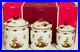 Royal_Albert_OLD_COUNTRY_ROSES_6_PC_CANISTER_SET_ROSE_KNOBS_ON_LIDS_NIB_01_oie