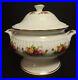 Royal_Albert_OLD_COUNTRY_ROSES_Porcelain_SOUP_VEGETABLE_Tureen_WithLid_01_torp