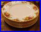 Royal_Albert_Old_Country_Roses_8_Dinner_Plates_01_knz
