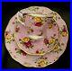 Royal_Albert_Old_Country_Roses_Dusky_Pink_Lace_Tea_Cup_Saucer_Plate_Trio_01_iou