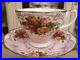 Royal_Albert_Old_Country_Roses_Rose_Cameo_Pink_Tea_Cup_Saucer_Limited_Issue_01_ijsx