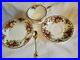 Royal_Albert_Old_Country_Roses_Set_of_4_Tea_Cups_Saucer_Spoons_Dessert_Plates_01_xv