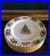 Set_Of_10_Royal_Albert_CHRISTMAS_MAGIC_Old_Country_Roses_Dinner_Plates_EXC_01_wzmj