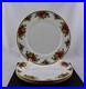 Set_Of_4_Royal_Albert_China_Old_Country_Roses_10_Dinner_Plates_England_New_01_nmyk