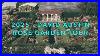 Step_Into_The_Hall_Of_Roses_David_Austin_Roses_Headquarter_Garden_Tour_2025_Uk_Rose_Journey_01_ocl
