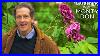 The_History_Of_Roses_S6e29_Full_Episode_Gardeners_World_01_ioz