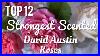 Top_12_Strongest_Scented_David_Austin_Roses_01_pibn