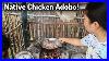 Usapang_Na_Inlove_Sakin_Si_Kakabsot_Nagkarne_Ng_Native_Chicken_A_Day_In_The_Farm_01_kej